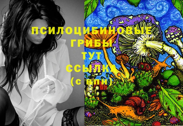 стаф Бородино