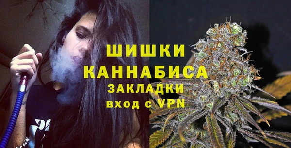 стаф Бородино