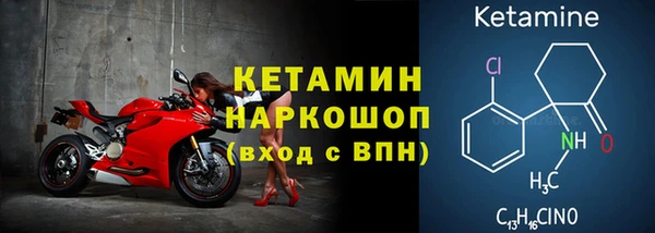 стаф Бородино