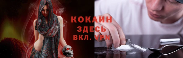 индика Бугульма