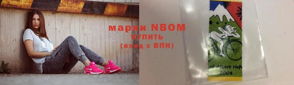 индика Бугульма