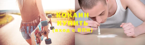 стаф Бородино