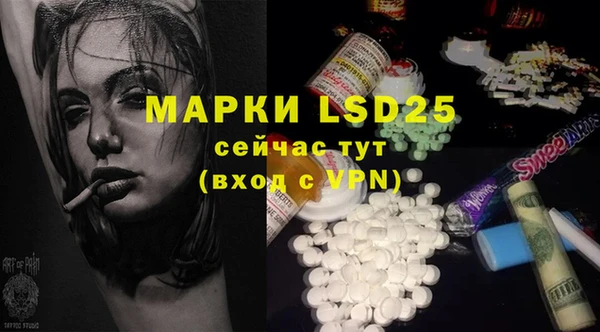 индика Бугульма