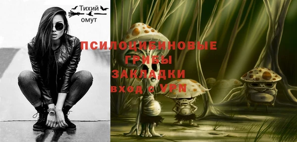 индика Бугульма