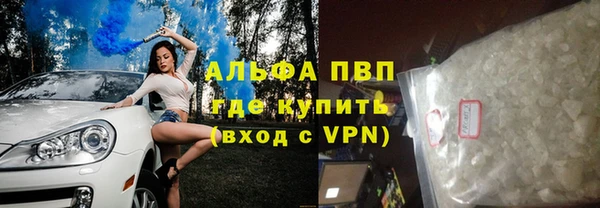 стаф Бородино