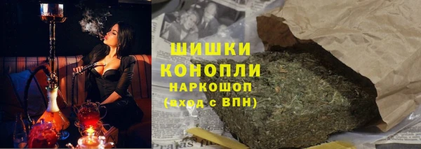 индика Бугульма